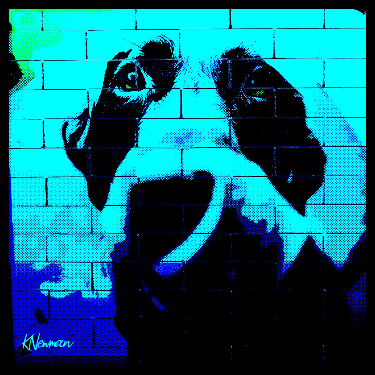 KennethNewman_'s tweet photo. Street Art Photo Effect 6
#Photoshop #Effect #art #design #art #nft #nftartists #nftart #digitalart #art #アート #デザイン #フォトショップ https://t.co/q0zrxUbSKE