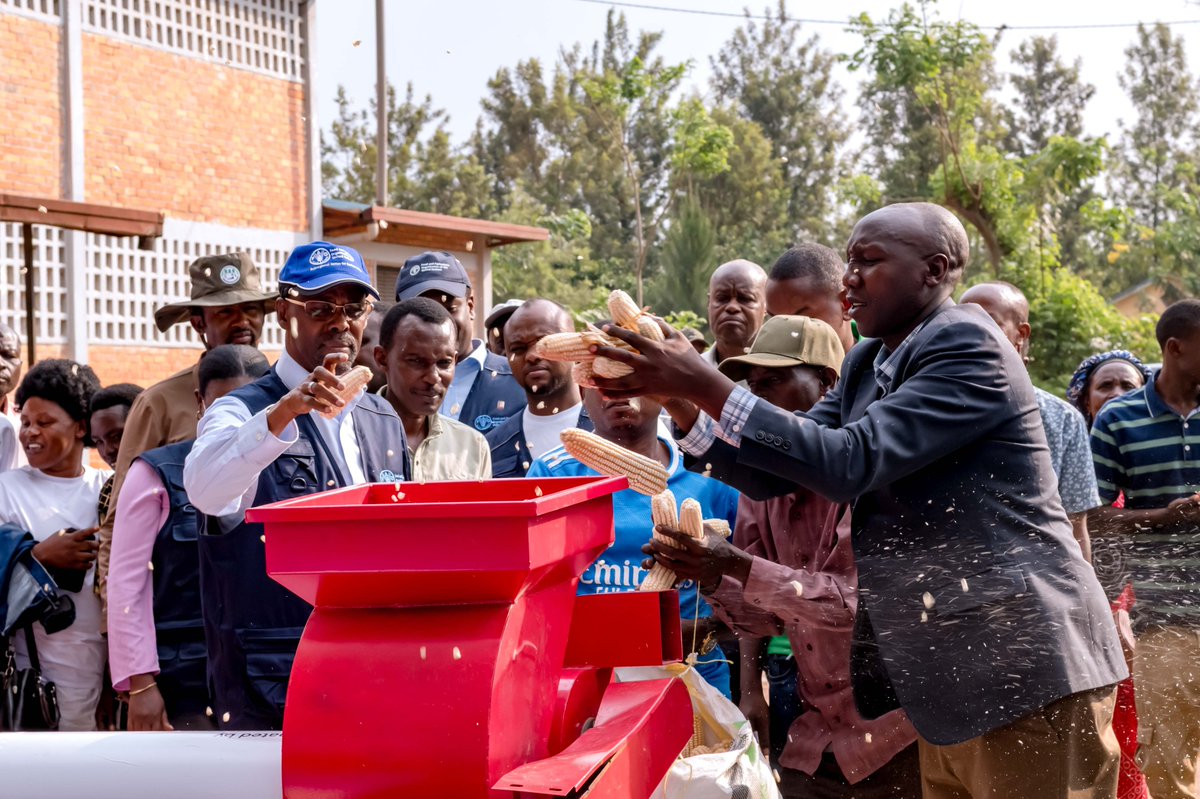 FAORwanda's tweet photo. Yesterday in @NyagatareDistr, @FAORwanda, Rep @awdahir handed over maize shellers, tractors, and drying units to #KABOKU Cooperative, helping to reduce post-harvest losses, improve grain quality and food safety, and strengthen farmers’ resilience. https://t.co/akeX4twDVV