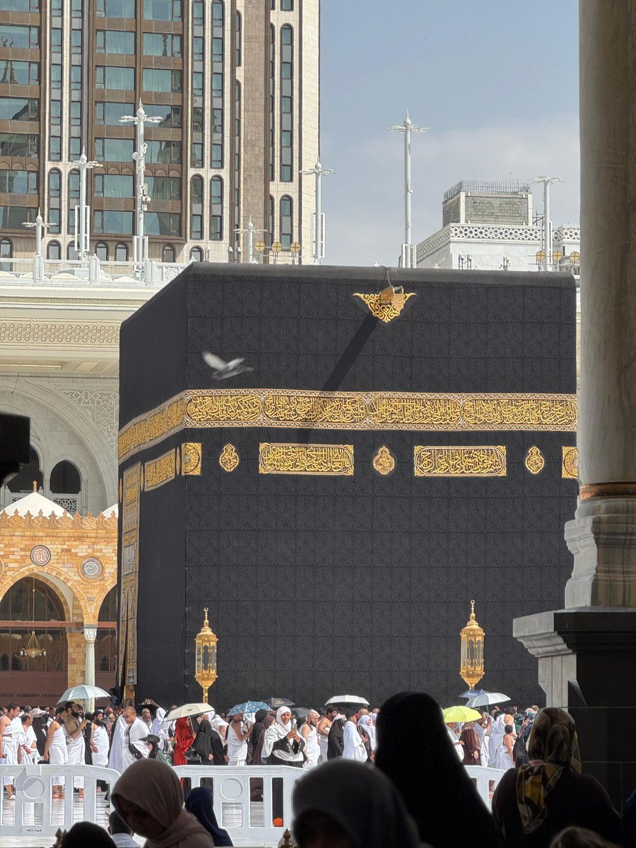 HolyMakkah01's tweet photo. جانِ حیات https://t.co/QXjdAHEJSJ