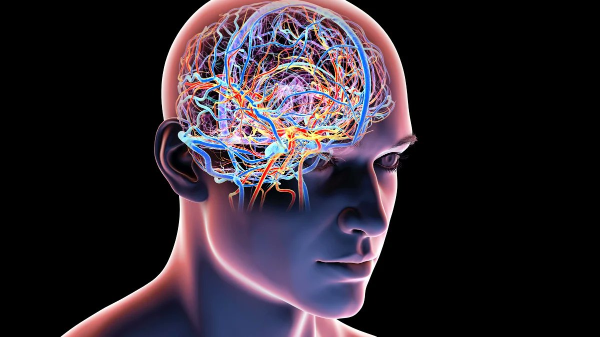 latestincosmos's tweet photo. LATEST🚨: Complaining literally weakens your brain, every time you focus on whats wrong you reduce the brain’s ability to adaptt. https://t.co/yGQIzyQjho