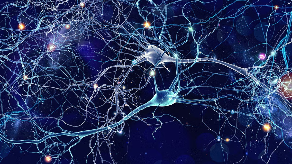 latestincosmos's tweet photo. LATEST🚨: Complaining literally weakens your brain, every time you focus on whats wrong you reduce the brain’s ability to adaptt. https://t.co/yGQIzyQjho