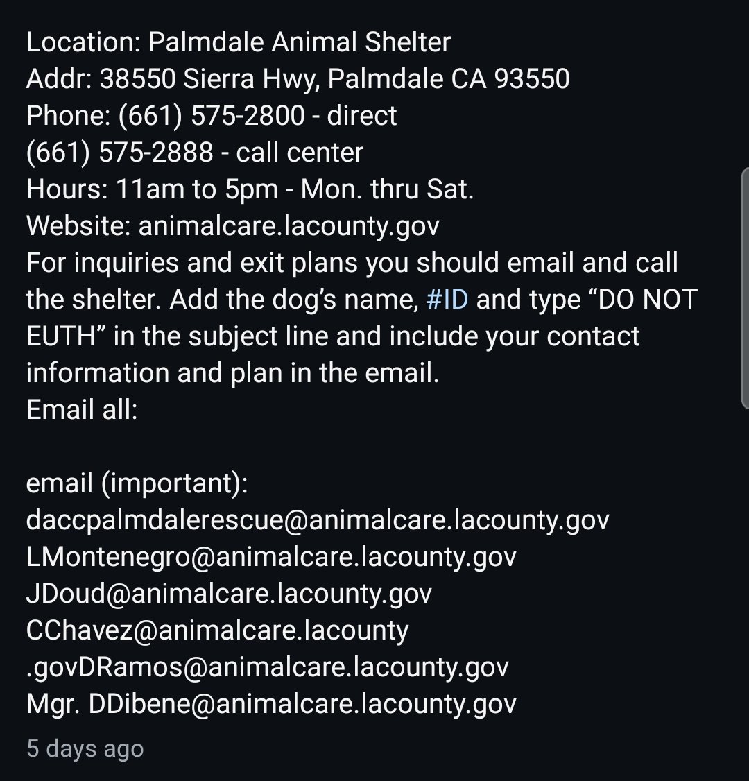 8415_n's tweet photo. There is still nobody for #AlaskanHusky puppy 

LYLE #A5788541

 in #Palmdale. Kennel friend Fraggle has been rescued.

Who can #foster puppy Lyle @ absolutely ZERO COST for a rescue?

Live ~30 miles around Palmdale⁉️
Pls foster Lyle directly for the shelter‼️ https://t.co/f6OId1GcFh