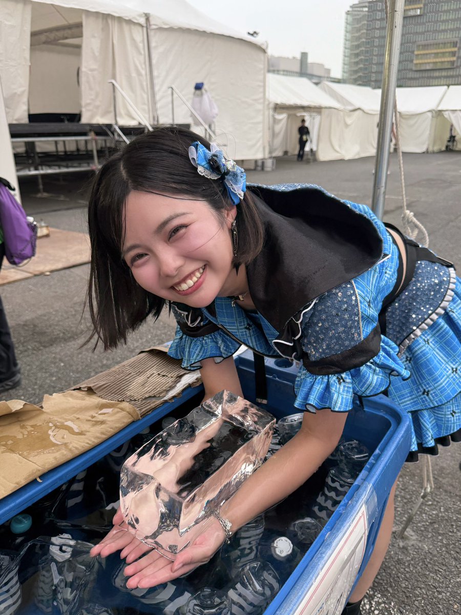 荒野 姫楓 tweet media