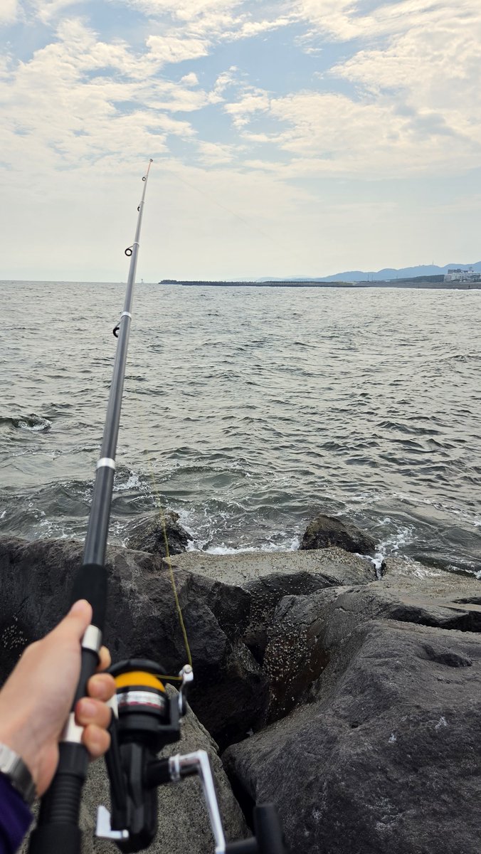 OctopusStep's tweet photo. 本日は地元の海辺で釣り。
初めてハイブリットクロス使ったけどすごい集魚力！
1投投げると必ずクサフグが釣れました！クサフグのみのエリアなのか、クサフグが特に好きな臭いなのかわかりませんが全投すぐにかかるのはとにかくすごい！ https://t.co/ZZtwYvc2Cc