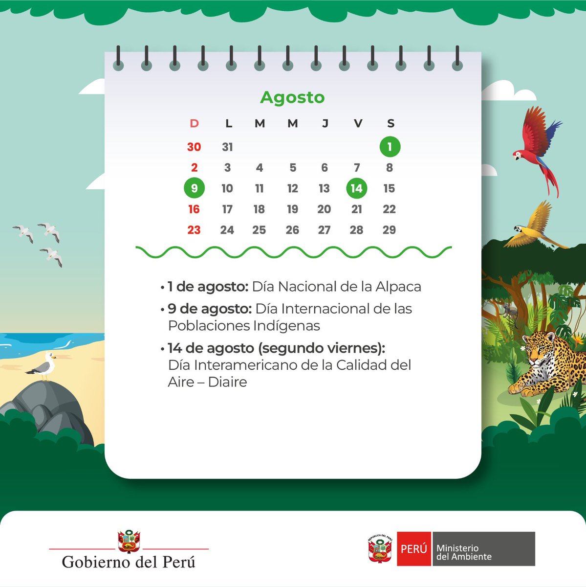 MinamPeru's tweet photo. 📅🌿 ¡Bienvenido, agosto!

✅ Iniciamos un nuevo mes para reconocer nuestra diversidad natural y cultural, y renovar nuestro compromiso con un ambiente saludable y sostenible. 🦙🤝💨

📆 Conoce las principales fechas ambientales de agosto y súmate a las acciones por un Perú más sostenible
✅ Calendario Ambiental Peruano 2026: https://t.co/4v2UVVhU06