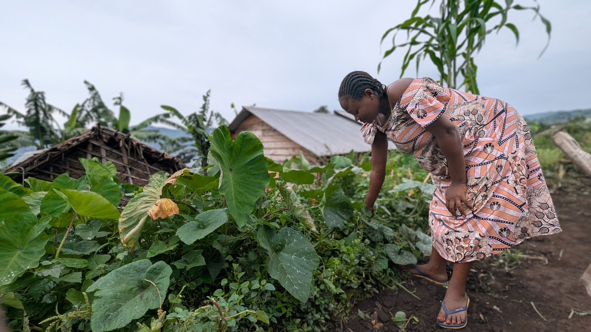 DRC_sci's tweet photo. 1er août - Journée des Parents  
 Un parent, c’est un pilier. 
Un parent, c’est une force. 
Un parent, c’est un avenir pour chaque enfant.
Aujourd’hui, nous célébrons leur rôle essentiel et réaffirmons notre engagement à les soutenir, partout et en toutes circonstances. https://t.co/0bkyPoDlTt