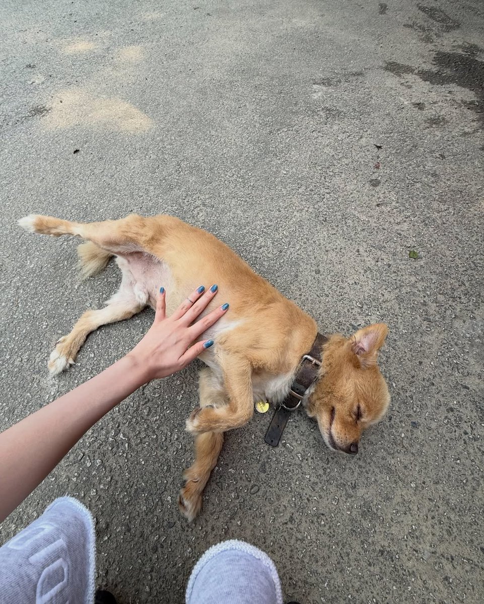 kkanhgg's tweet photo. 250801 #프림로즈 #루비 인스타 (2) https://t.co/O2iFdh6Gpk