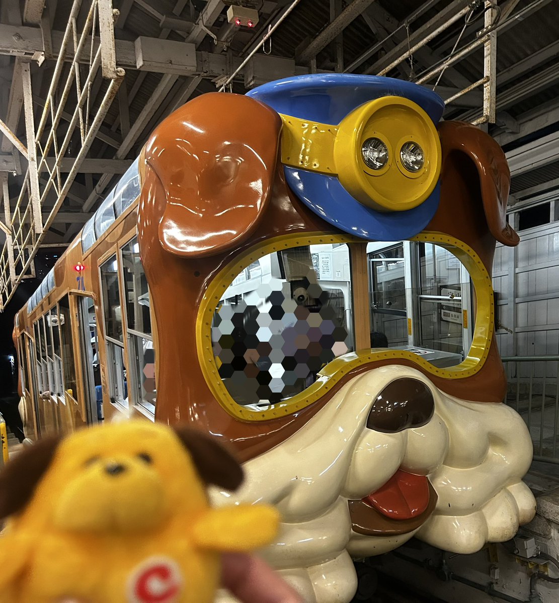 nnaakkll_'s tweet photo. 奈良の人は犬の電車で通勤通学しているワン！すごいワン！！ https://t.co/mwO7w2ijkX