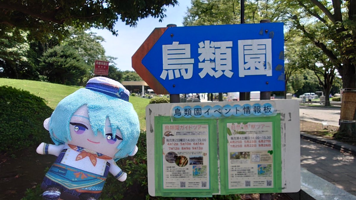 wks_mdr's tweet photo. 現地で見かけて勢いで行ったやつ。野鳥観察の場という感じで間近で見られるというわけではなかったんだけど、施設にあった読み物とか剥製とかめちゃ良かった。 https://t.co/lSP69XqYfU