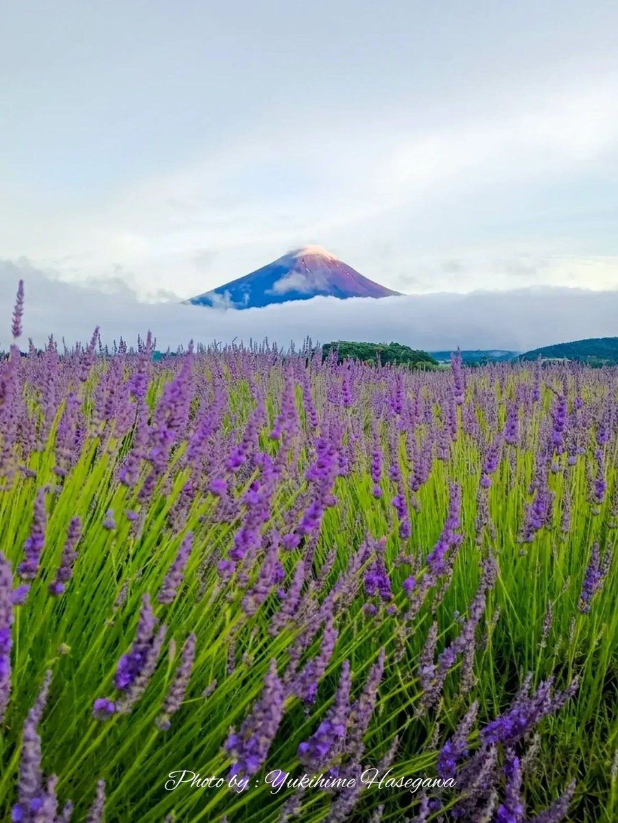 VincentForrh's tweet photo. 重力に��らう意識の持ち運び方がわからない。
君はどこに存在を委ねているんだろう https://t.co/jmihsrmGN9