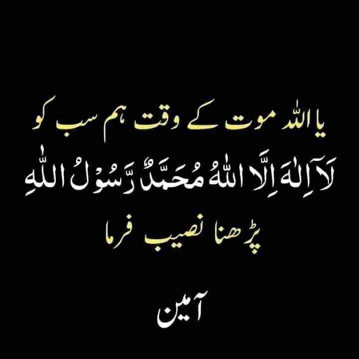 Ayesha4X's tweet photo. Ameen ❤️ https://t.co/eyI8QU4AzC