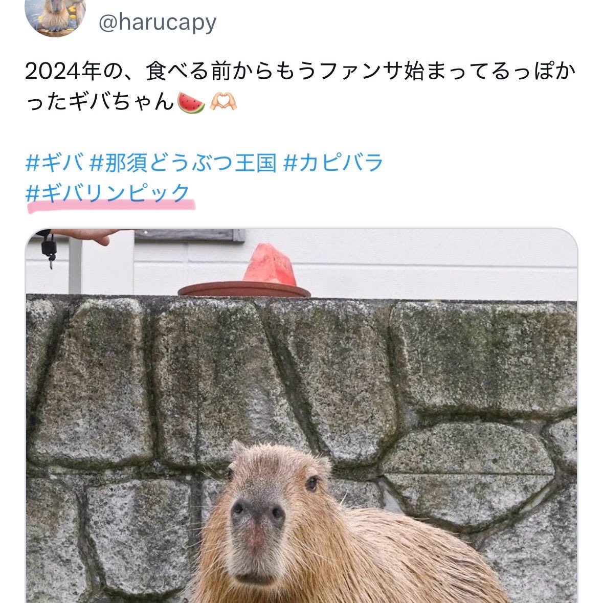 harucapy's tweet photo. I˙꒳ ˙)こっそりまちがいさがし🍉 https://t.co/JL5rtSYlBZ