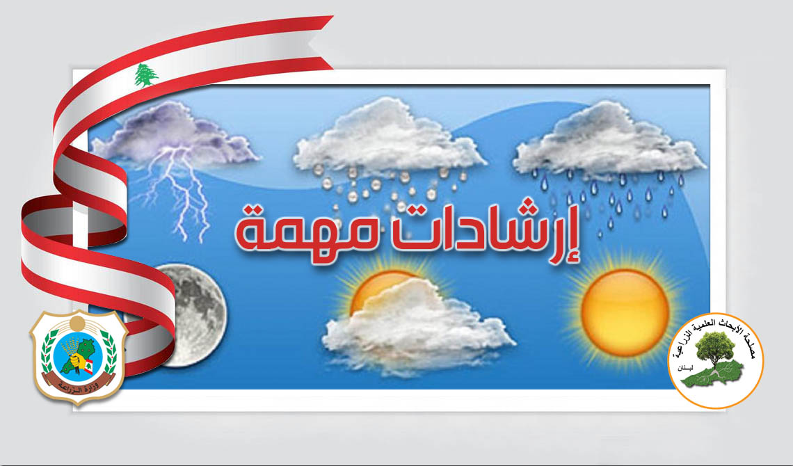 MoaLebanon's tweet photo. وزارة الزراعة - مصلحة الأبحاث العلمية الزراعية(LARI) تصدر إرشادات مهمة لمواجهة موجة الحر الشديدة وتأهب للوقاية من الحرائق

#الزراعة_نبض_الأرض_والحياة
#وزارة_الزراعة
#وزير_الزراعة
#LARI

يوتيوب وزارة الزراعة:
https://t.co/BvSmoozDVV

فيسبوك:
https://t.co/X7fLGwBV12 https://t.co/ReGgmJWUtk