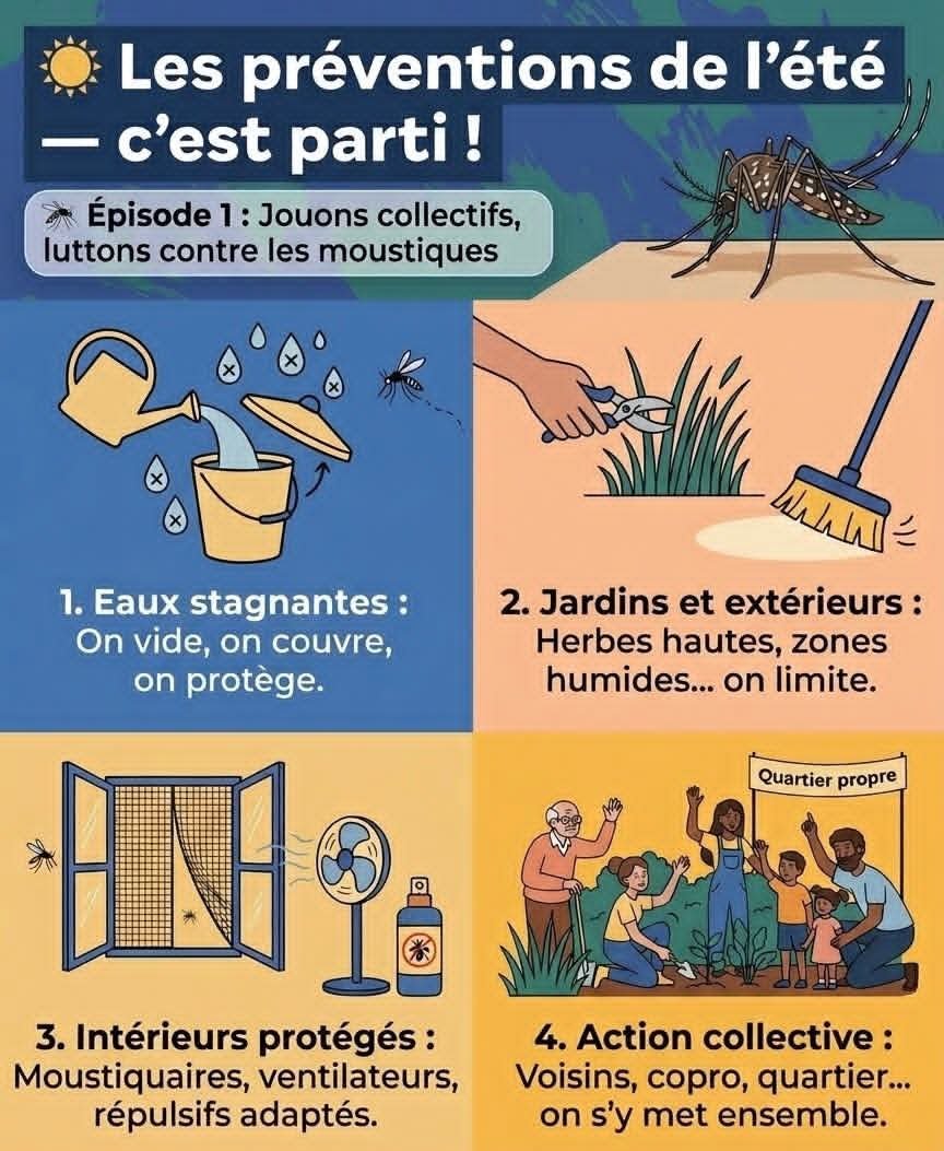 GuillaumeDehaez's tweet photo. Été = prévention
épisode 1 : luttons contre les moustiques 🌞

🦟 Contre les moustiques, 4 réflexes à adopter :
- vider l’eau,
- limiter les zones humides et les eux stagnantes,
- protéger l’intérieur,
- agir ensemble.

Bel été à toutes et tous

#Tours #PréventionÉté #Moustiques https://t.co/UJn0Dx35AK