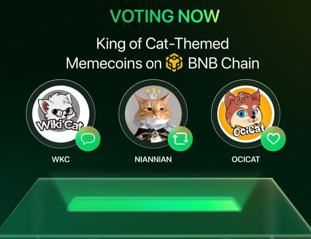 HotCommunities's tweet photo. VOTING NOW: King of Cat-Themed Memecoins on BNB Chain 🌟  Like & RETWEET 
$WKC -
@wikicatcoin
$NIANNIAN -
@NiannianCTO_BNB
$OCICAT -
@ocicattoken
Three cat coins. One crown. 
 #BNB #MemeCoinSeason