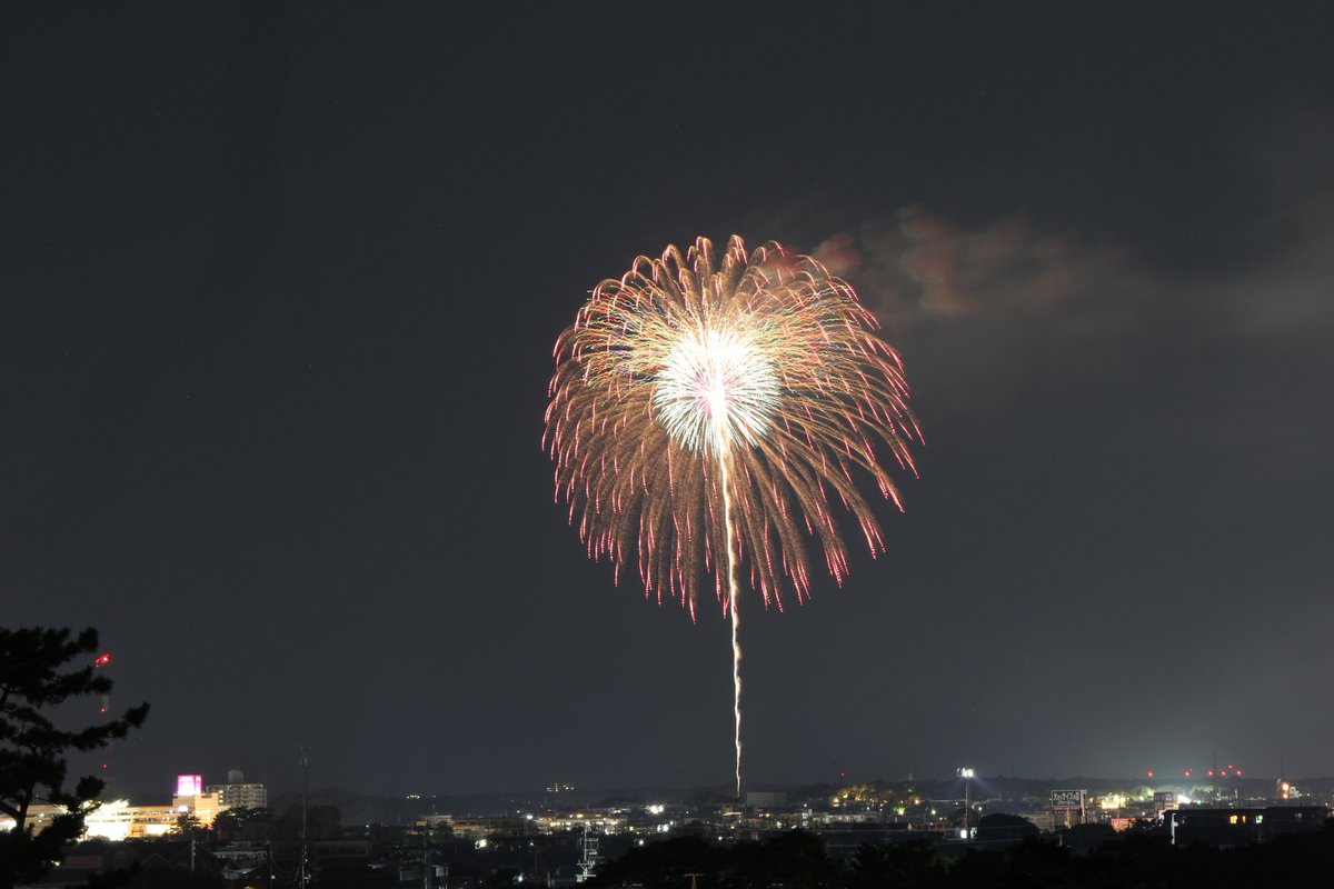 LandOf38123's tweet photo. 佐鳴湖の花火大会🎆

カメラ以外の機材を
忘れるという大失態をしながら撮影📸

約5キロ離れた場所からの
長距離夜間撮影は初めてなので
大変だった😤
無機材撮影🕺✨

本当は、鹿島の花火大会を始め
周辺で行われている
４つの花火大会を
狙ってたんだけどなぁ🥺

娘たちは鹿島の花火大会へ行ってる👍 https://t.co/tiLtqJXJ2L