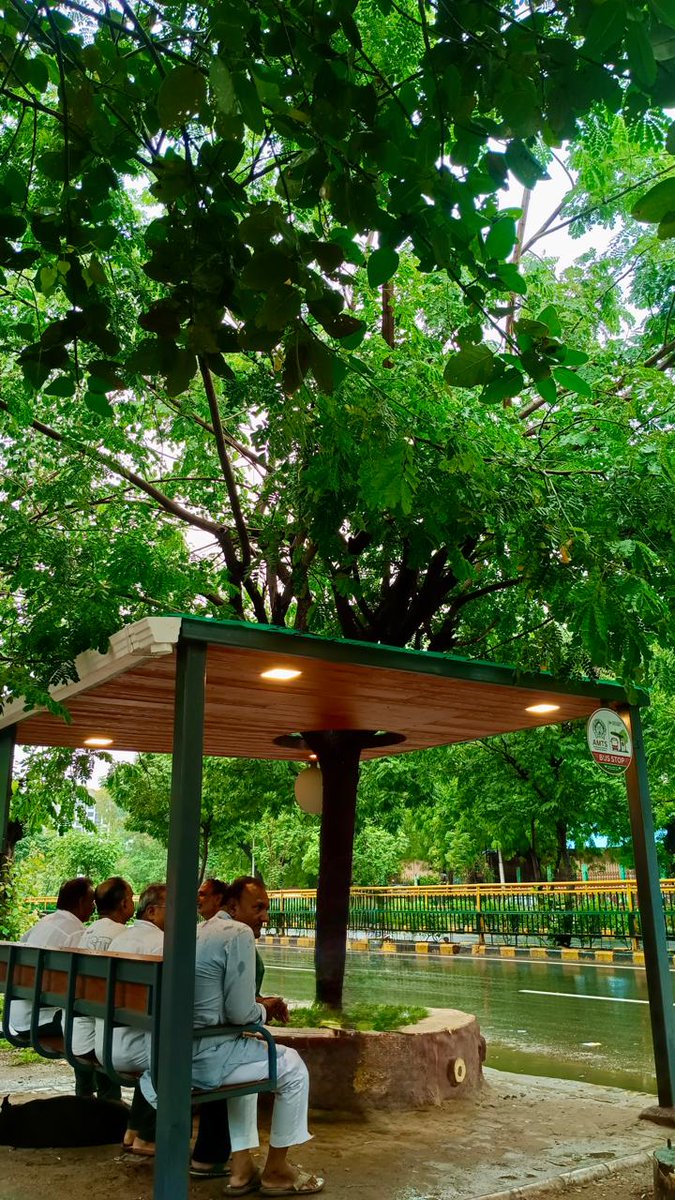DeshGujarat's tweet photo. Ahmedabad gets city's first tree-integrated green bus shelter at Acher
https://t.co/IH7PZF8i2U https://t.co/GUOeoaAS67