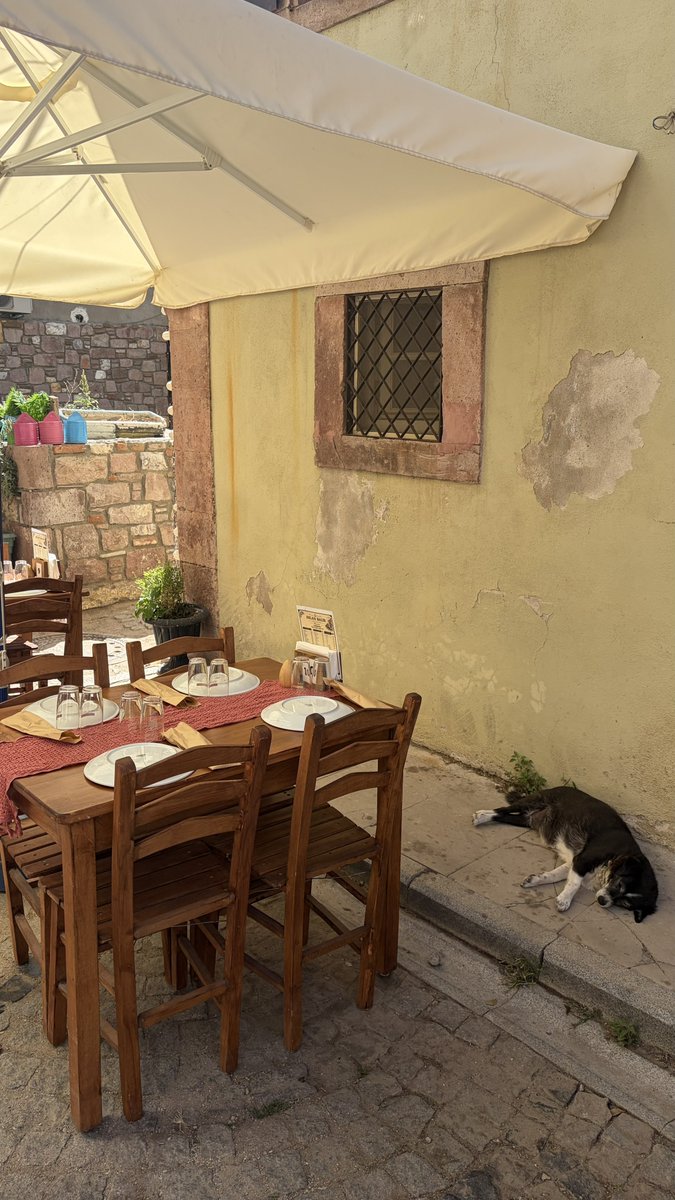 selenisel's tweet photo. Ayvalık. https://t.co/wl9pRRYxht