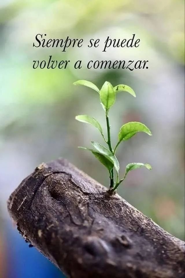 ElaFerris's tweet photo. Buen día para todos.
#Avancemos https://t.co/82ab3WnRuf