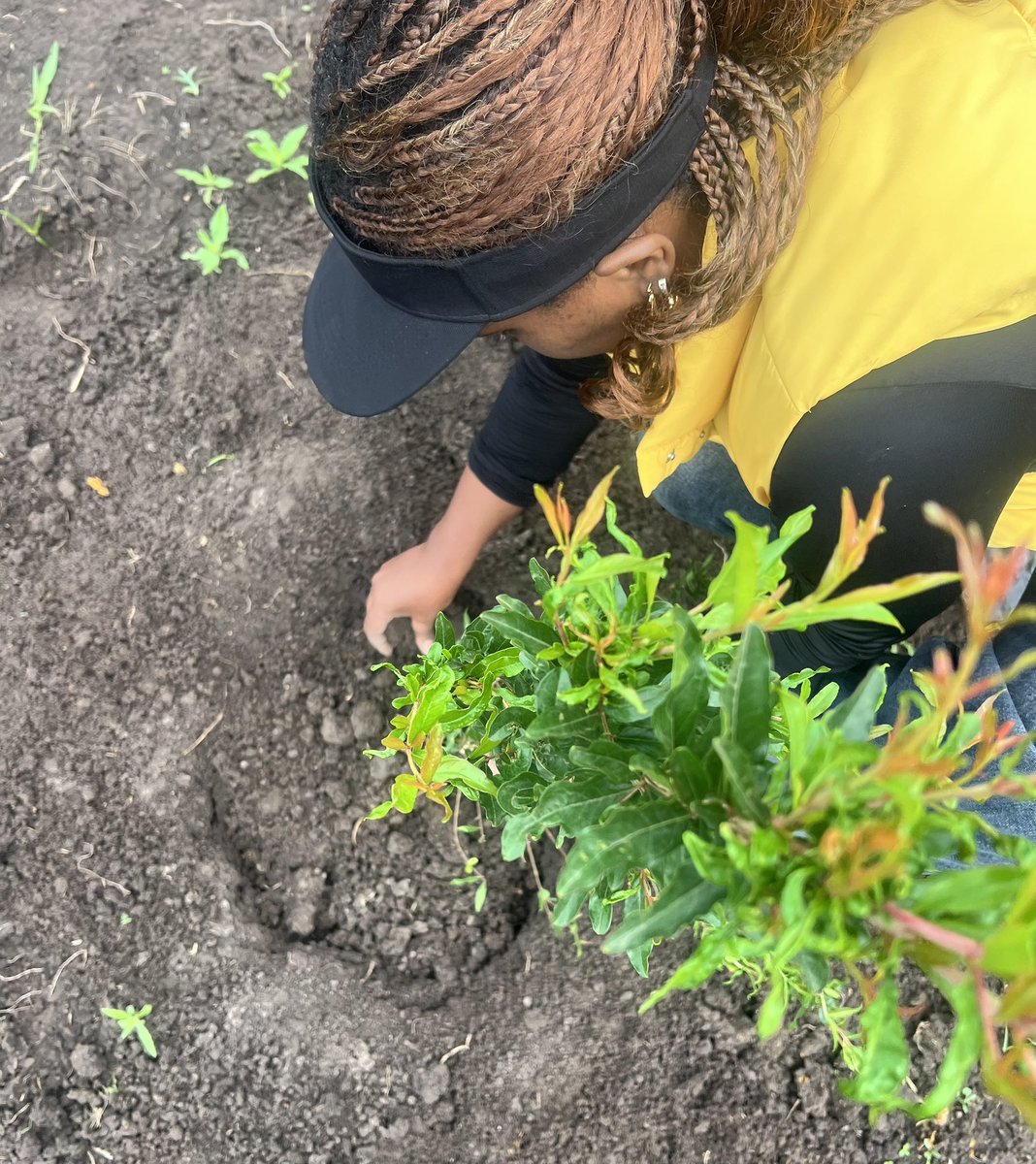 dawit_tsion's tweet photo. “Let’s Plant Hope!”
#Ethiopia #GreenLegacyInitiative #COP32 #ClimateAction #Africa https://t.co/vwWvmkTtUd