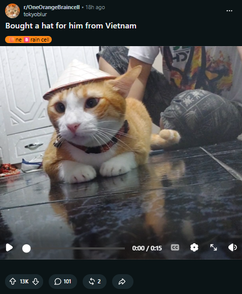 lillykuan's tweet photo. Wait is this the next viral cat?

This cute cat with a hat is going viral today

His name is Ponkan

https://t.co/AJsimICosH https://t.co/rK3bXuFJLa
