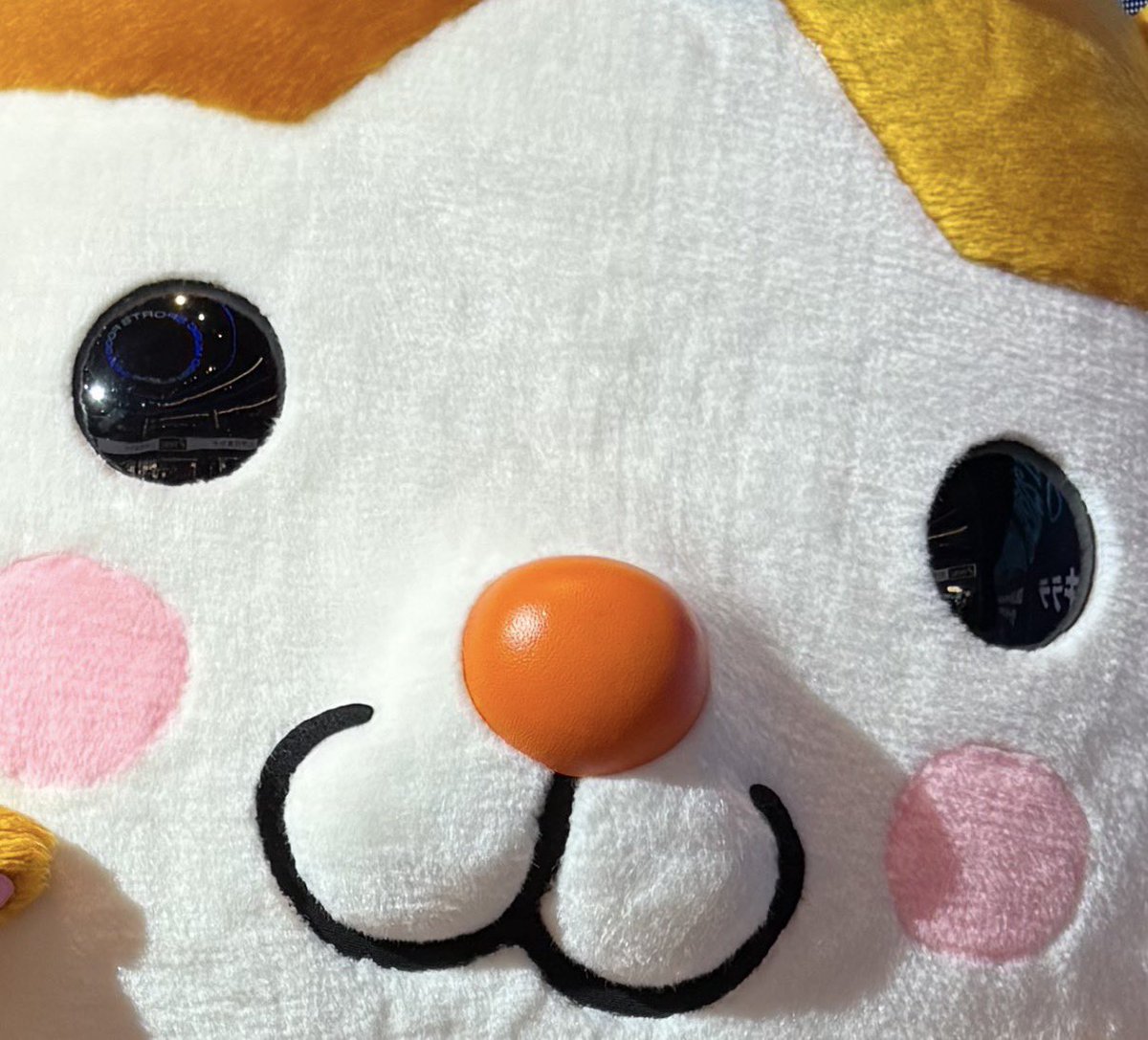 hcpppi's tweet photo. 瞳にアリーナのライトとキララって文字が入ってる https://t.co/xopGeeAMeY