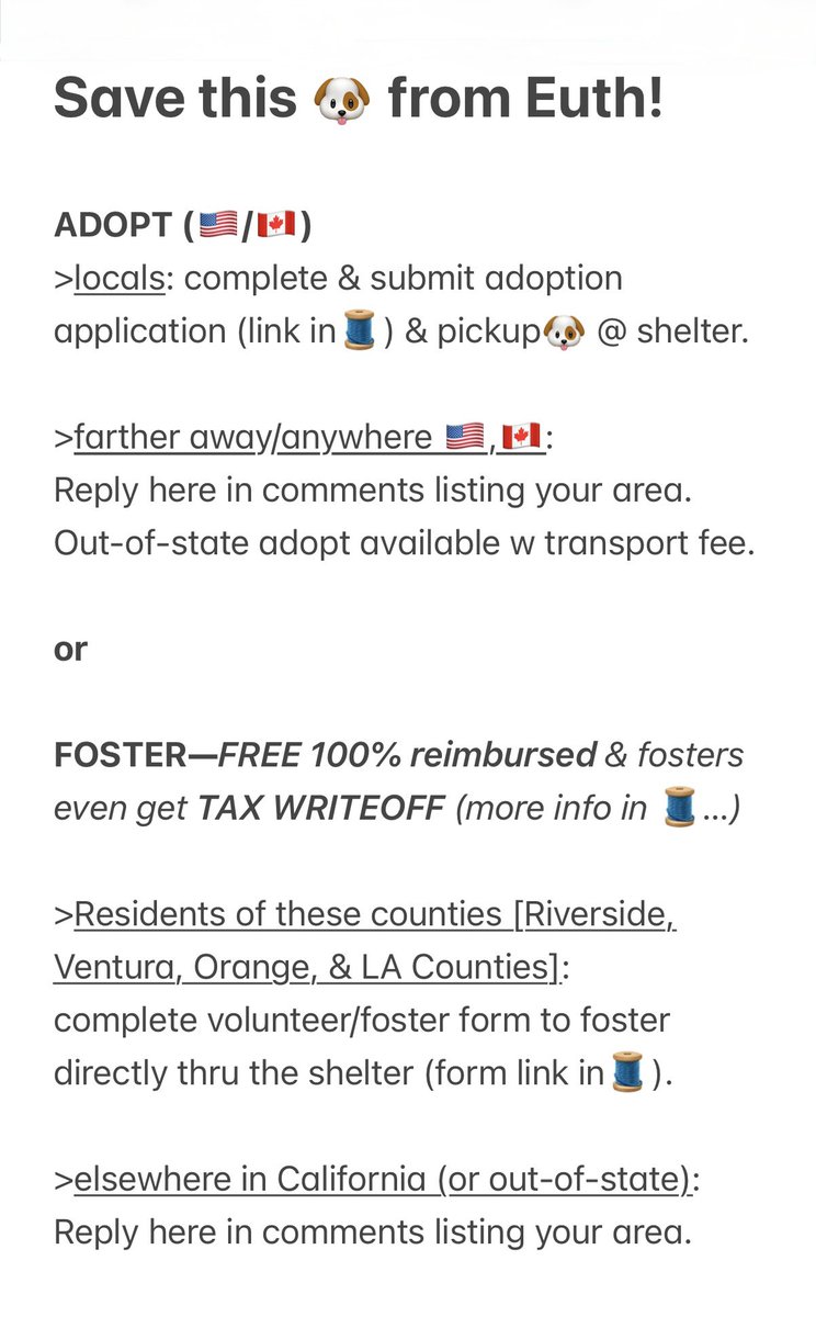 LilaFlw's tweet photo. IMPORTANT READ:
how to save Stanley👇

Act now! DON’T wait!
DeadIiest shelter KlLLS FAST⏰ https://t.co/VxZrScdBJR