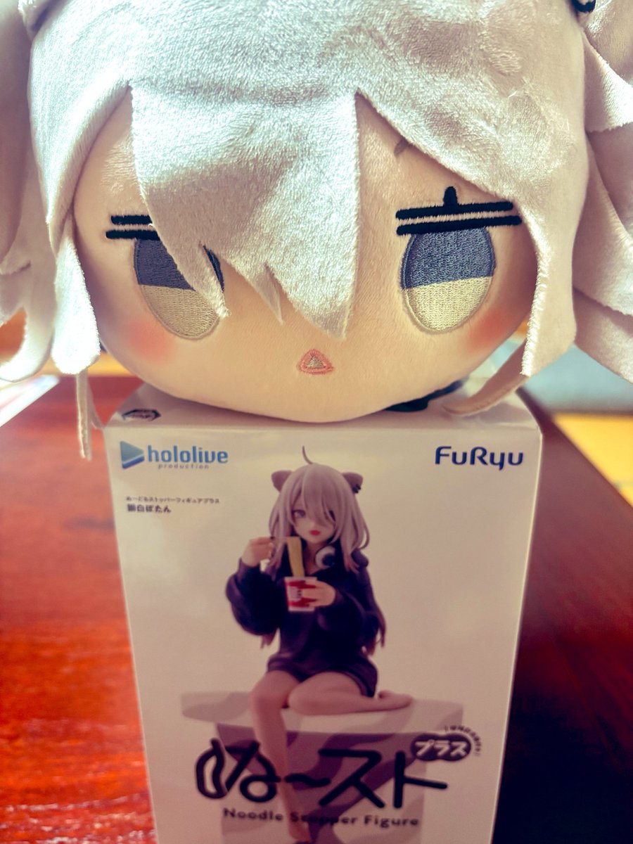 hide_pinsp's tweet photo. @shishirobotan ぬ～ストとぬいもGETしました😆 https://t.co/UJ7yebSkSJ