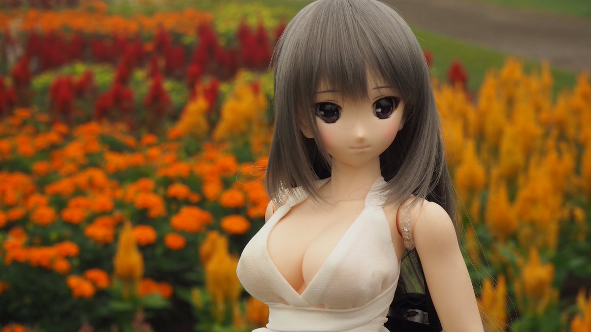 raiden4912's tweet photo. かの姉様…しゅき💕
 #おっぱいの日
#azone #アイリスコレクト https://t.co/afZE3yUNAh