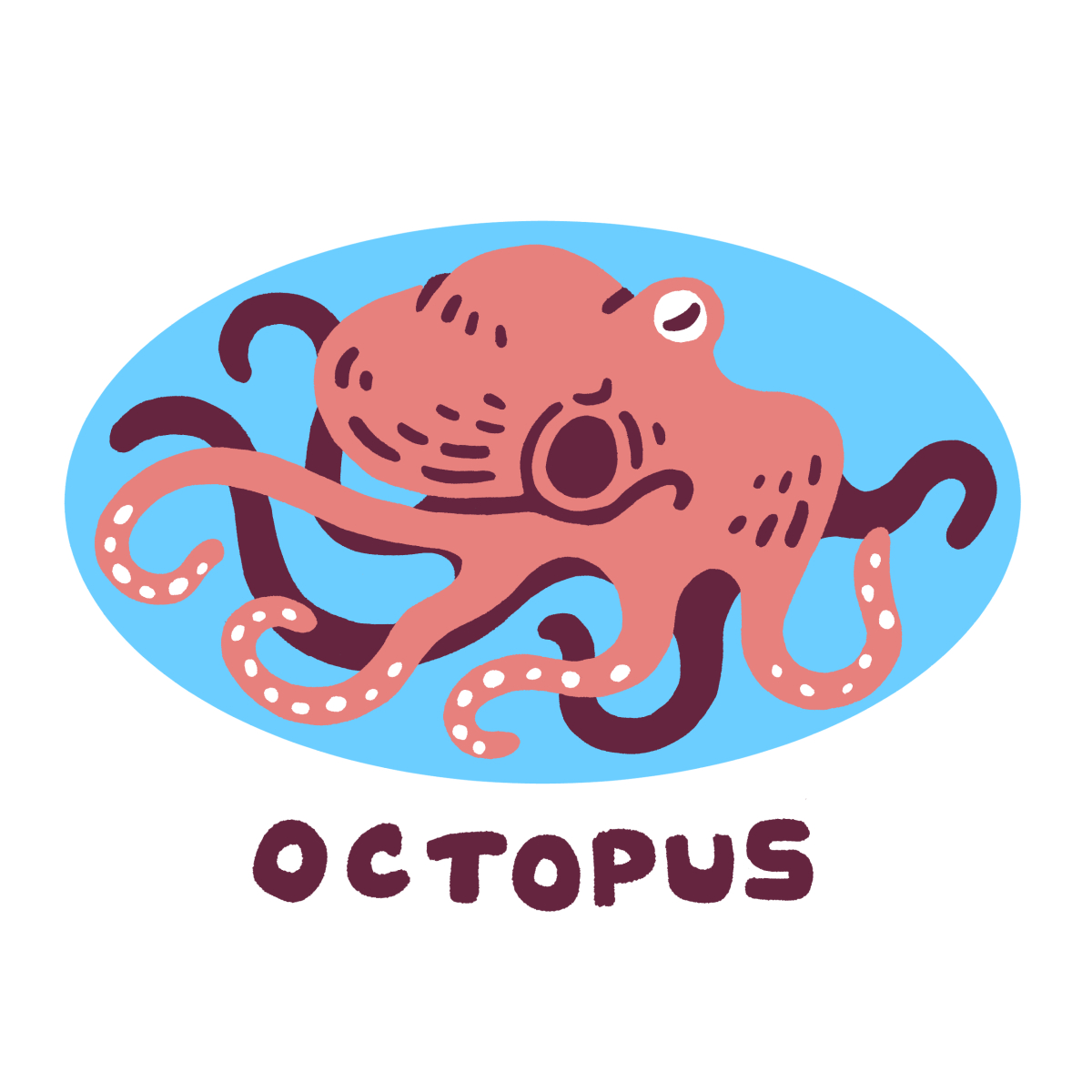 torikai_hm's tweet photo. タコ -octopus- #タコ #イラスト #octopus #illumination https://t.co/6fSMpEAHb5