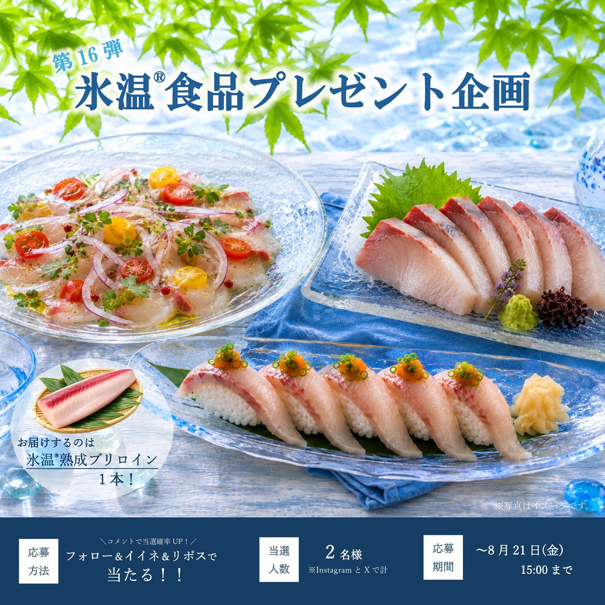 hyo_on_food's tweet photo. 🎉氷温®食品プレゼント企画 第16弾🎉
🐟抽選で1名様に
㈱ＣＯＯＬ様の「氷温®熟成ブリロイン（1本）」をプレゼント🎁

「冬が旬」と言われるブリ。
氷温®熟成でうま味を引き出したブリを、季節を問わずお楽しみいただけます☺️✨

お刺身やお寿司、カルパッチョなど、お好みの食べ方でぜひ😊

【応募方法】
✅ @hyo_on_food 
✅ この投稿をいいね❤️&リポスト

💬コメントで当選確率UP！👀✨

📅締切：8月21日（金）15時まで

#氷温 #氷温食品 #プレゼントキャンペーン