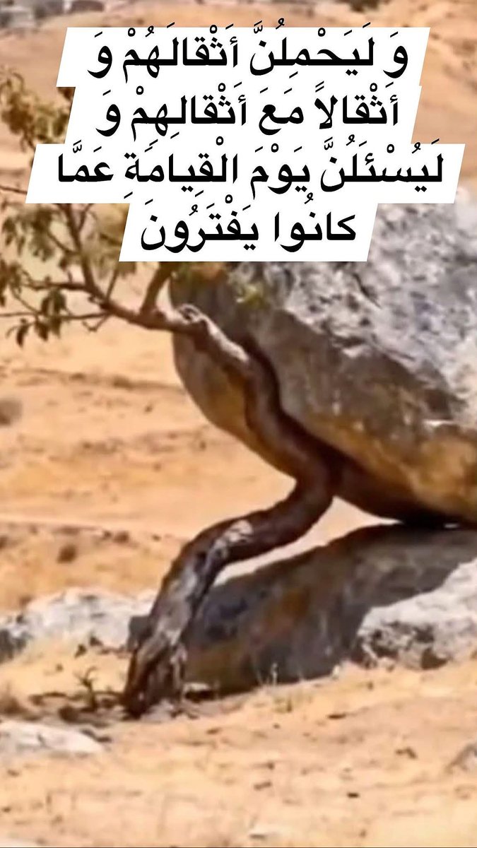 h92f56's tweet photo. بسم الله الرحمن الرحيم
(لِلَّذِينَ اسْتَجابُوا لِرَبِّهِمُ الْحُسْنى وَ الَّذِينَ لَمْ يَسْتَجِيبُوا لَهُ لَوْ أَنَّ لَهُمْ ما فِي الْأَرْضِ جَمِيعاً وَ مِثْلَهُ مَعَهُ لافْتَدَوْا بِهِ أُولئِكَ لَهُمْ سُوءُ الْحِسابِ وَ مَأْواهُمْ جَهَنَّمُ وَ بِئْسَ الْمِهادُ)
صدق الله العظيم https://t.co/llV0Fv5qKB