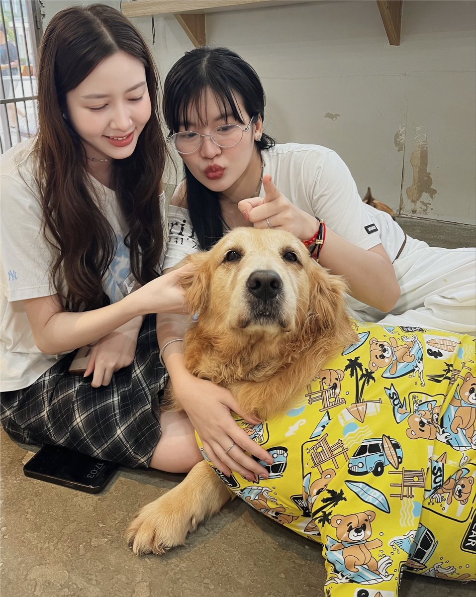 calledmemyyuk's tweet photo. Spend 1st of august with u . 🐶🦊

#mychan #AIGirlSeries
#MyyuKhawisara #Chanyaduval https://t.co/AitnxOyz9z