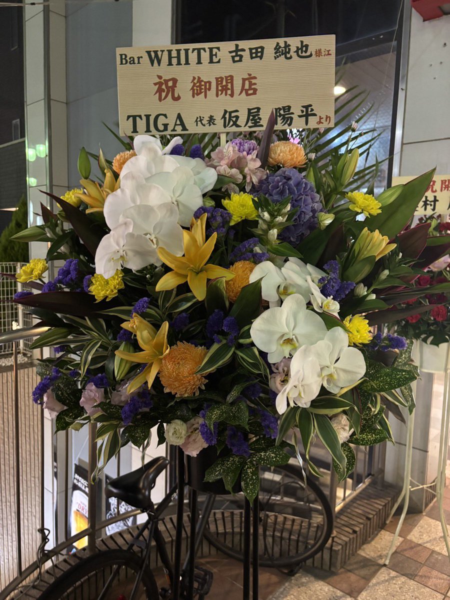 TIGA DARTS JAPAN tweet media