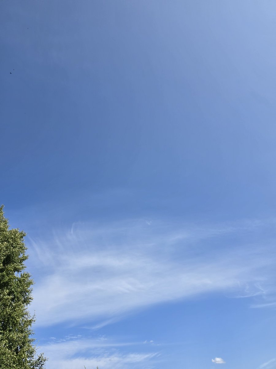 Tannaja_'s tweet photo. ดื่มด่ำ กับ ธรรมชาติ
Monikkalantie.
#BlueSky
#BeautifulSky
#ท้องฟ้า https://t.co/VMHjsiqKiX