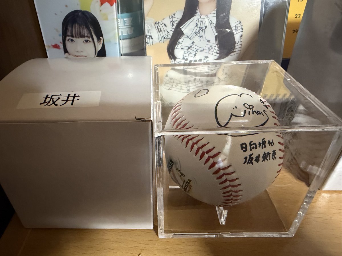 【希少】日向坂46 蔵盛妃那乃 ひな誕祭 直筆サインボール 希少】日向坂46 蔵盛妃那乃 ひな誕祭 直筆サインボール 希少】日向坂46