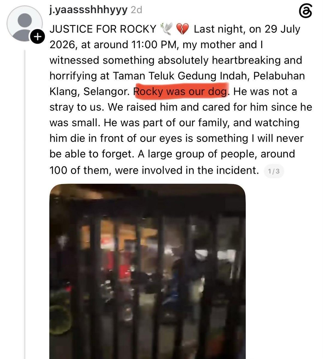 mengarut_je's tweet photo. Pajeeta kaki belit. Menyusahkan orang. Buat kacau.

Awal kata dia owner, tetiba bukan.

Lepas tu fitnah. Mmg mereka akan usahakan utk burukkan Melayu, Islam.

Jgn percaya dgn kata2 org kafir. https://t.co/jyCKZhEyQ3