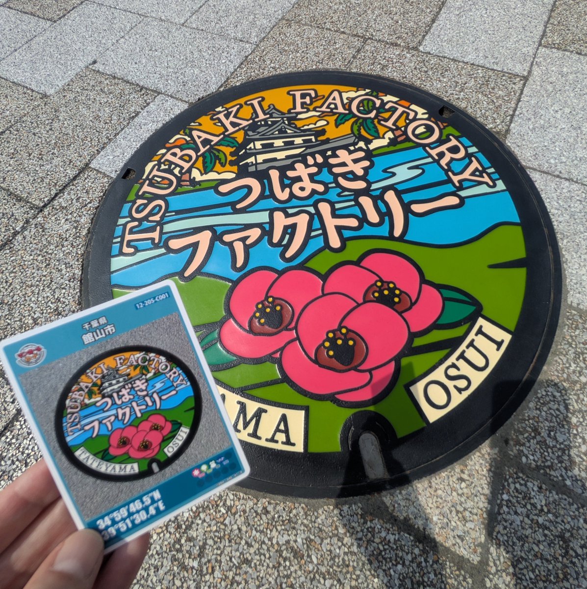 bechitabechi's tweet photo. #マンホールカード
館山市AC
JR館山駅西口&amp;東口で2枚も
ついでにエキタグも✨
館山駅C座標蓋は西口から海の方に向かって200〜300m歩いたところに。
西口近くにパーキングあり利用しました。

次女…蓋を見つけて走り出し、蓋のちょっとした溝につまづいて負傷😓
⚠️はしゃぎすぎにご注意ください⚠️ https://t.co/UBxDa8H7f2