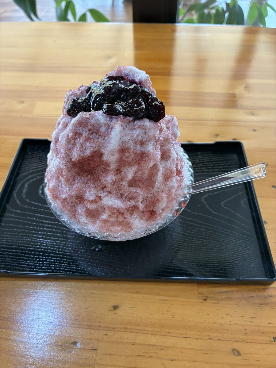 ayanox88's tweet photo. 用事があって高知に行ってきました。
隙間時間でポケふたをゲット。
帰りにずーっとずーっと気になっていたさかわかき氷街道に寄りました。
美味しすぎてまた行きたいー😂
高知楽しい！また行きたいー。
#霧生園
#わらび餅うさぎ堂 
#さかわかき氷街道 https://t.co/EiEVezD8EK