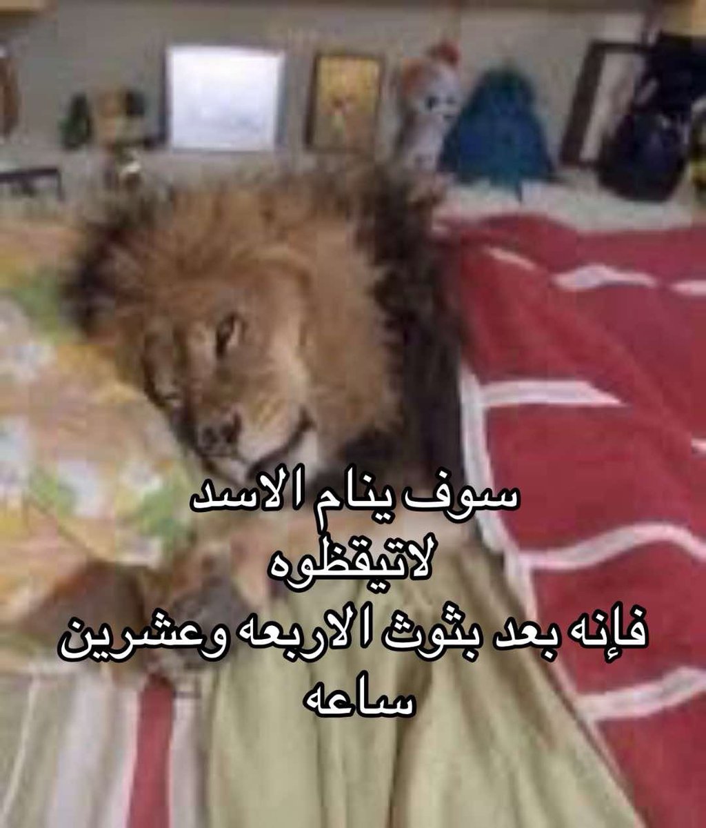 h78ow's tweet photo. نشوفكم على خير 👋🏻 https://t.co/witMurae1l