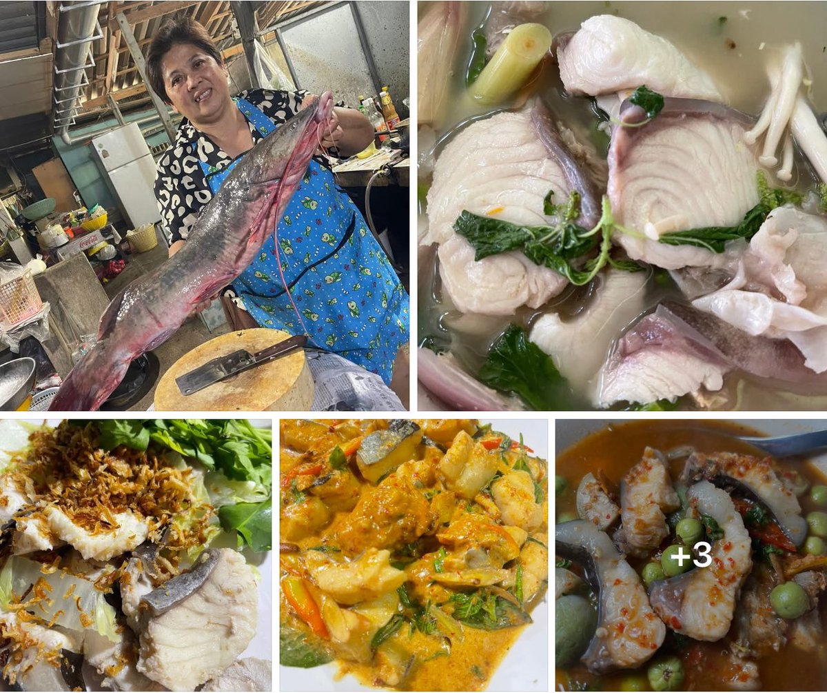 PWNWS_'s tweet photo. ขออนุญาตแนะนำร้านอาหารของที่บ้านนะคะ
“ร้านอาหารนิล บ่อพลอย กาญจนบุรี”
ปลาแม่น้ำ อาหารป่า พริกแกงทำเอง เห็ดโคนร้านอาจจะไกลจากตัวเมือง แต่รับประกันความอร่อย คุณแม่กับคุณยายทำกับข้าวกันเองนะคะ ร้านใกล้สวนสัตว์ซาฟารีปาร์คนะคะ มาดูน้องสัตว์แบบใกล้ชิด และมาทานอาหารอร่อยๆกันนะคะ https://t.co/HBZ0RFjzcR