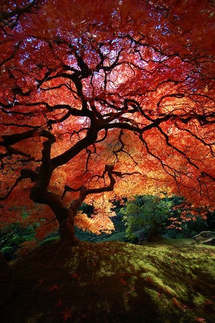 Nature Lover🌎 tweet media