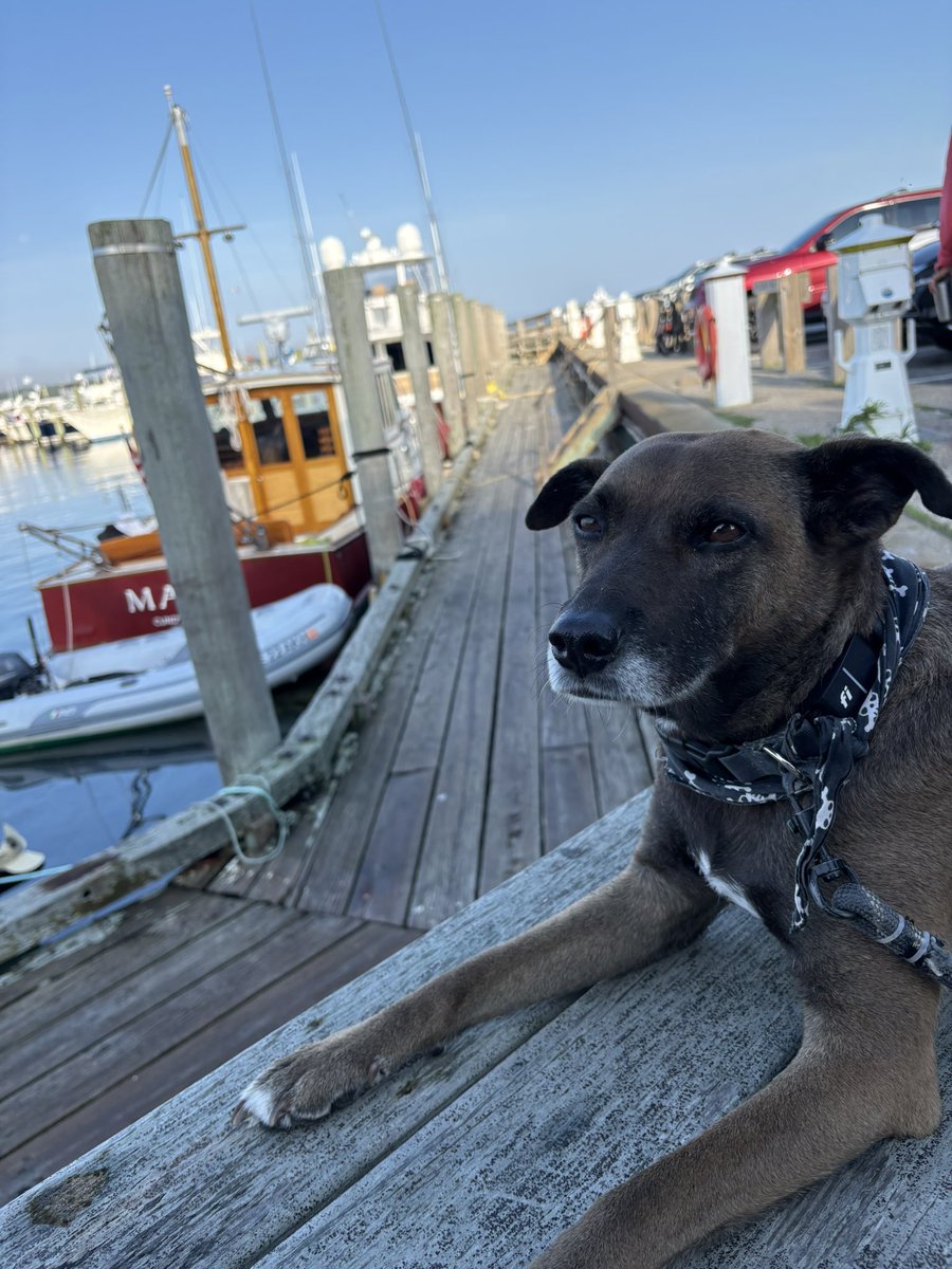 CookingWithComo's tweet photo. Beautiful trip to Martha’s Vineyard 🦞 https://t.co/PVEYyLixI0