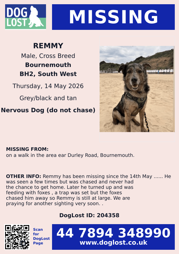 millypod1's tweet photo. 🆘14 MAY 2026 #Lost Remmy #ScanMe
Cross Breed Male. Nervous Dog (do not chase)
on a walk in the area near
Durley Road #Bournemouth #Dorset #BH2
https://t.co/wiM4Qo6vnv https://t.co/oAcR7sXMNv