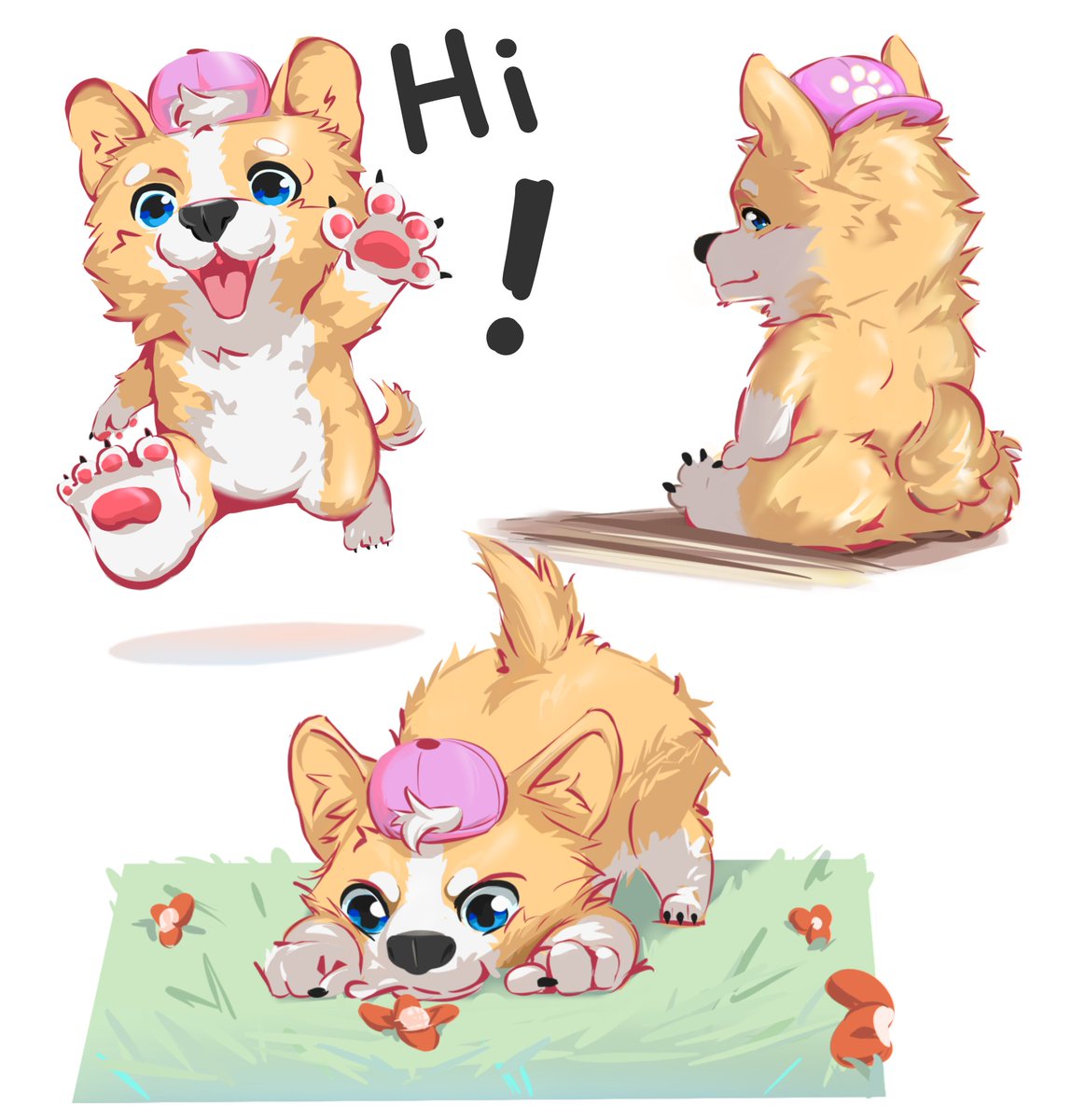 PaGKyNaKub's tweet photo. น้องหมา corgi ตัวสั้นก้นฟู https://t.co/bjzykVnM5Y