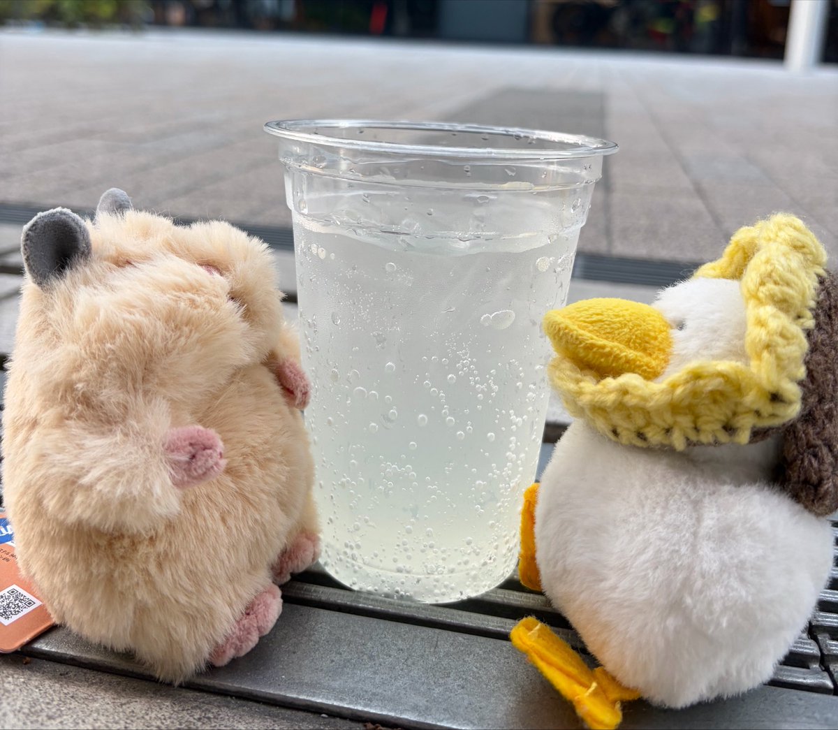 Gzznu6's tweet photo. 明日はむにぎりちゃんをカットします🥹
緊張 上手く行けたらいいなあ、、、

はむにぎり、沢山の子がいる中で一番大きくてずっしりしてる子を選んだんだけど
がーがーと並ぶと本当にでかくてかわいいw https://t.co/bA6k7Ckb8w