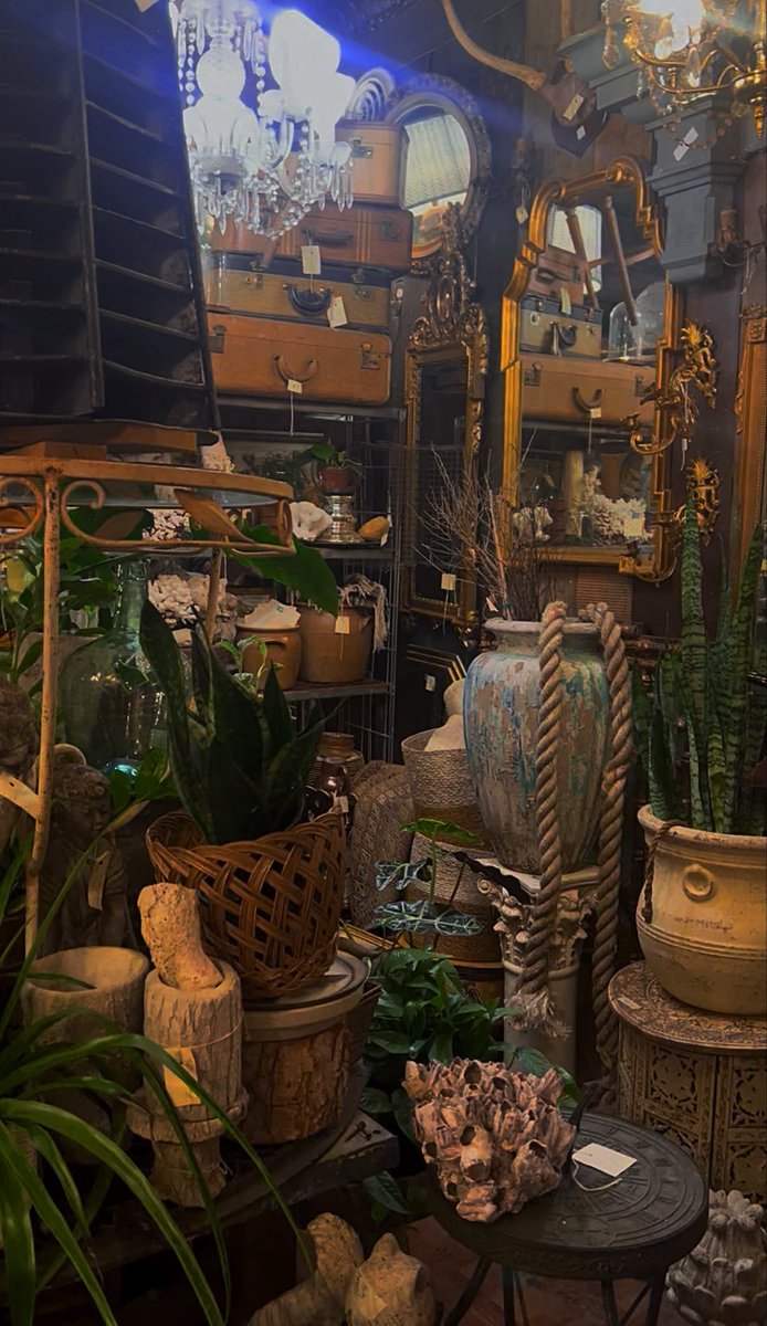 meatsack27's tweet photo. coolest store ever 1/2 https://t.co/b8Dwc2wGPw
