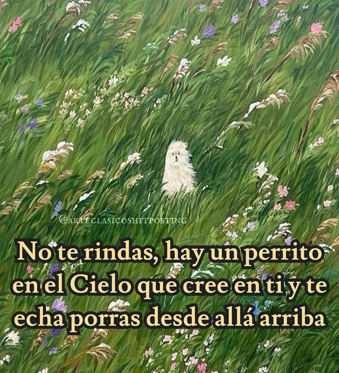 ojoscol0rsol's tweet photo. https://t.co/QzSxOOJPYL