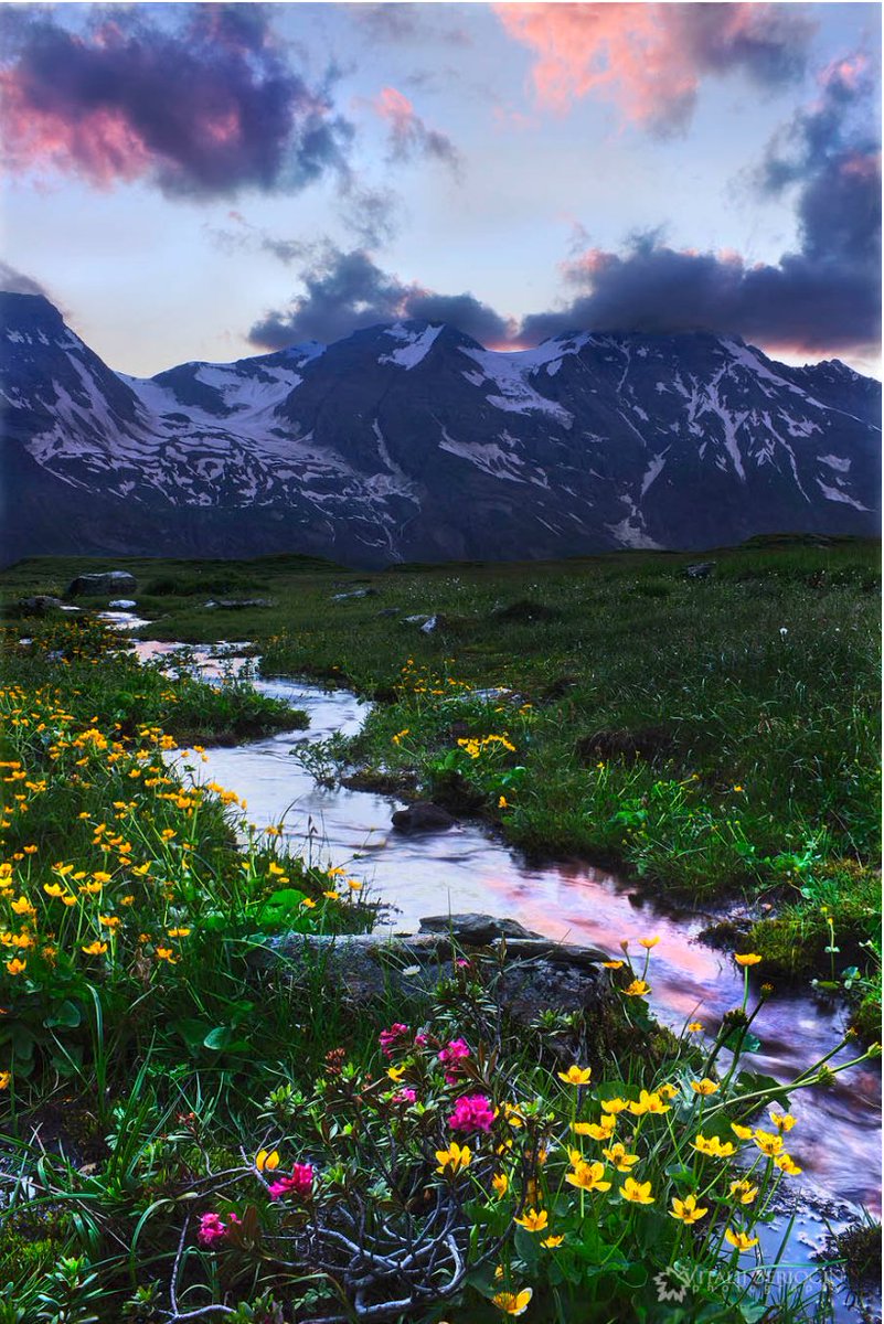 TSvetlanab's tweet photo. Good day Twitterland🐺💞
“Success is getting what you want, happiness is wanting what you get”
― W.P. Kinsella
#OurWorld
#Nature #NaturePhotography by Vitalij Seriogin https://t.co/Akd0y8gsYO