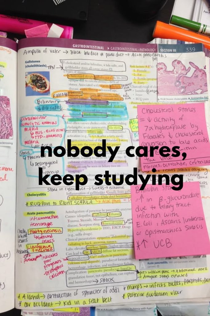 a5troJ's tweet photo. Study..!💕🥹📚 https://t.co/MIYkZBU42p